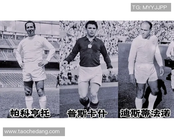 米尔顿足球球星的传奇故事与成就探索以及他们对足球的深远影响